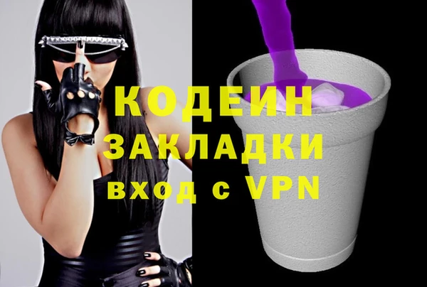 шишки Надым