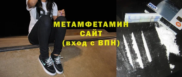 шишки Надым