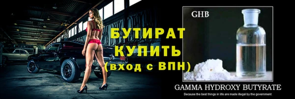 шишки Надым