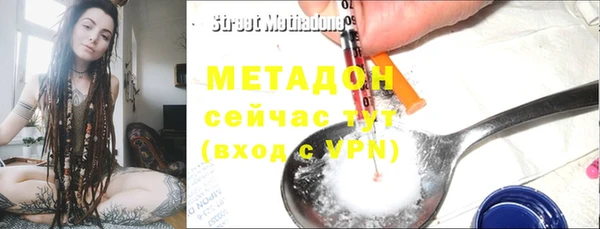шишки Надым