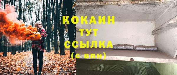 шишки Надым