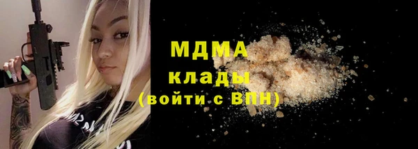 шишки Надым