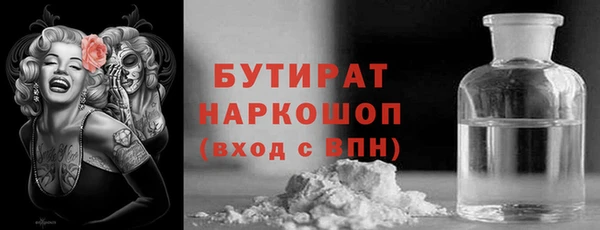 шишки Надым