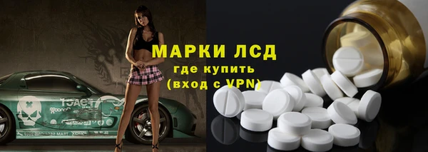 шишки Надым