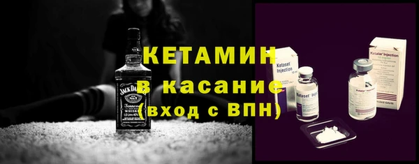 шишки Надым