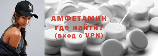 шишки Надым