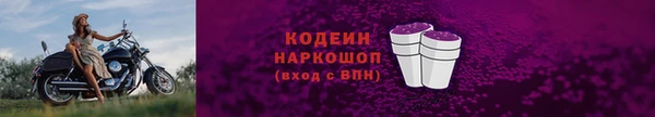 шишки Надым