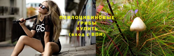 шишки Надым