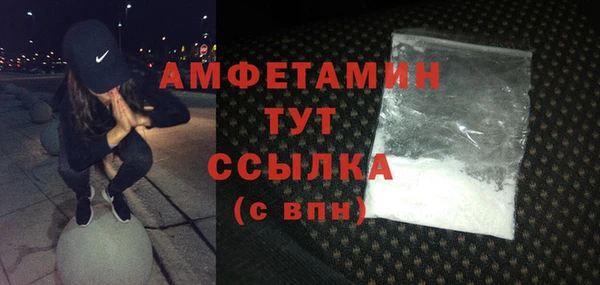 шишки Надым