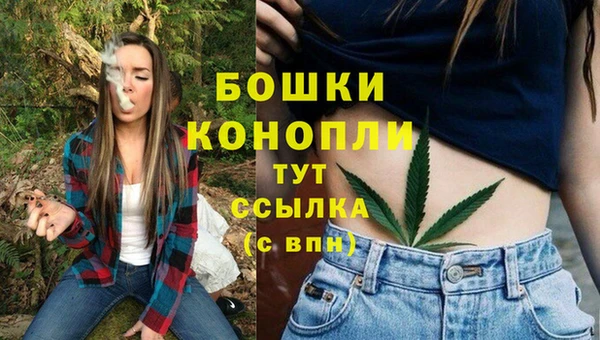 шишки Надым