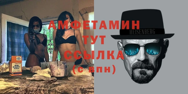 шишки Надым