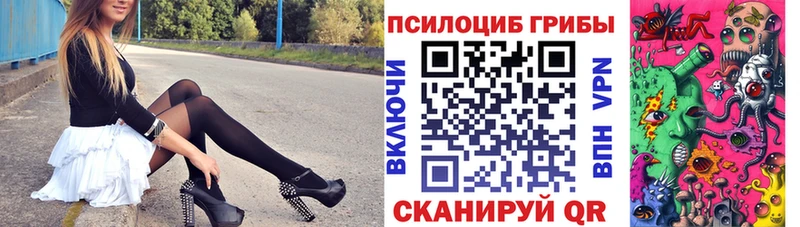Псилоцибиновые грибы MAGIC MUSHROOMS  Купить закладки  Куйбышев 